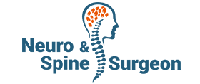 Neuro And Spine Surgeon Logo