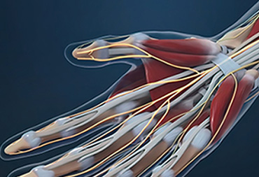 Peripheral Nerve Surgery In Thane